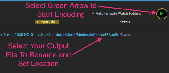 Adobe Media Encoder H 264 Settings Icon